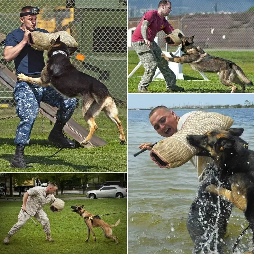 MelkTemn dog bite